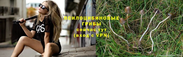 метадон Абаза